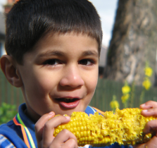 Bolton Wholefood Cooperative