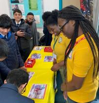 The Better Living Project CIC