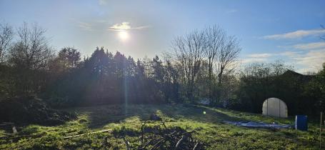 A wide open green space on an overcast winter's day, with bare trees silhouetted against a bright low sun, a polytunnel and a blue barrel visible to the right, and cleared branches in the foreground suggesting the site is being developed.
