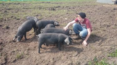 A young person crouches down to interact with a group of black pigs in a muddy outdoor enclosure on the farm.