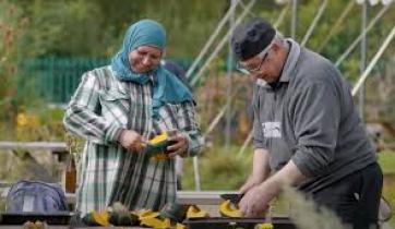 Picture of 2 people planting flowers