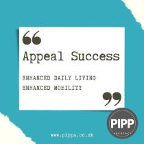 PIP Professional Support