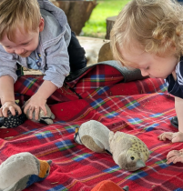 Little Bats Learning CIC